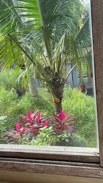 Scenery