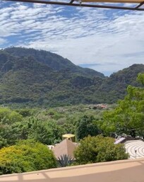 Vista