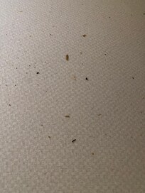 Mellom madrass og overmadrass