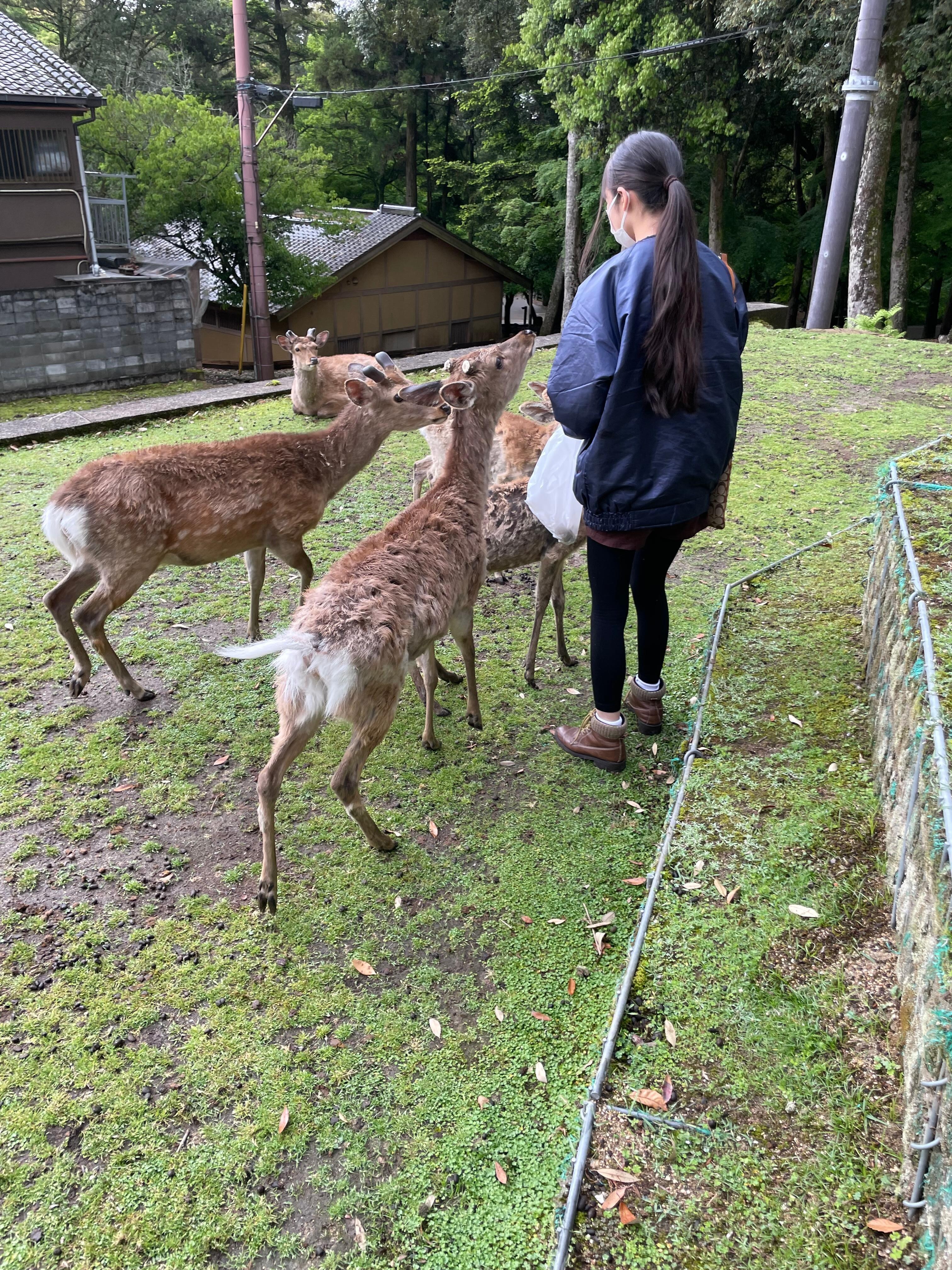 まみれる