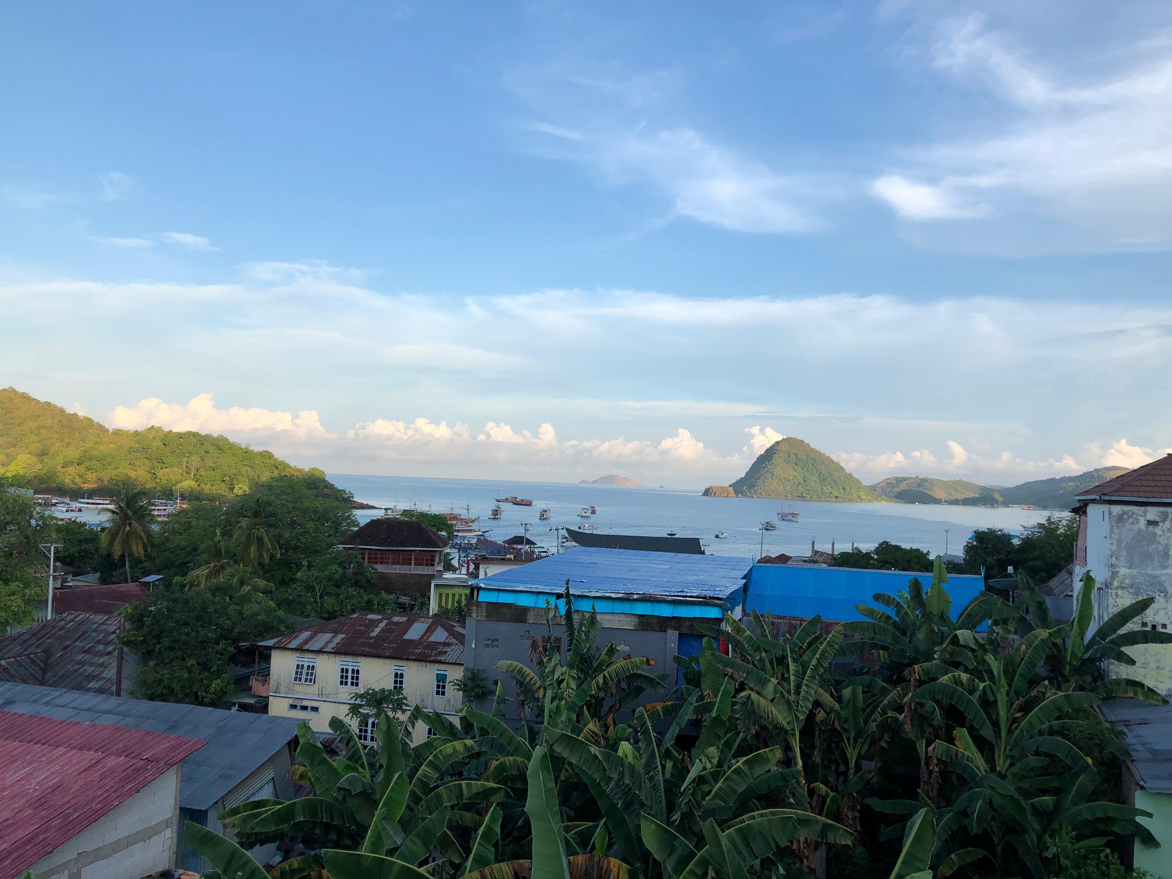 View from pool