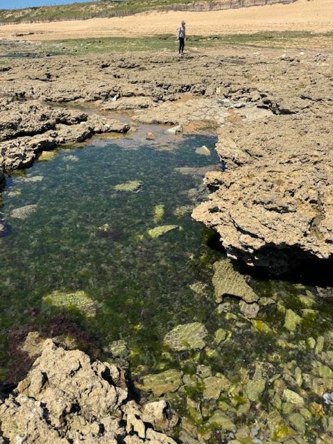 The sea shore at low tide