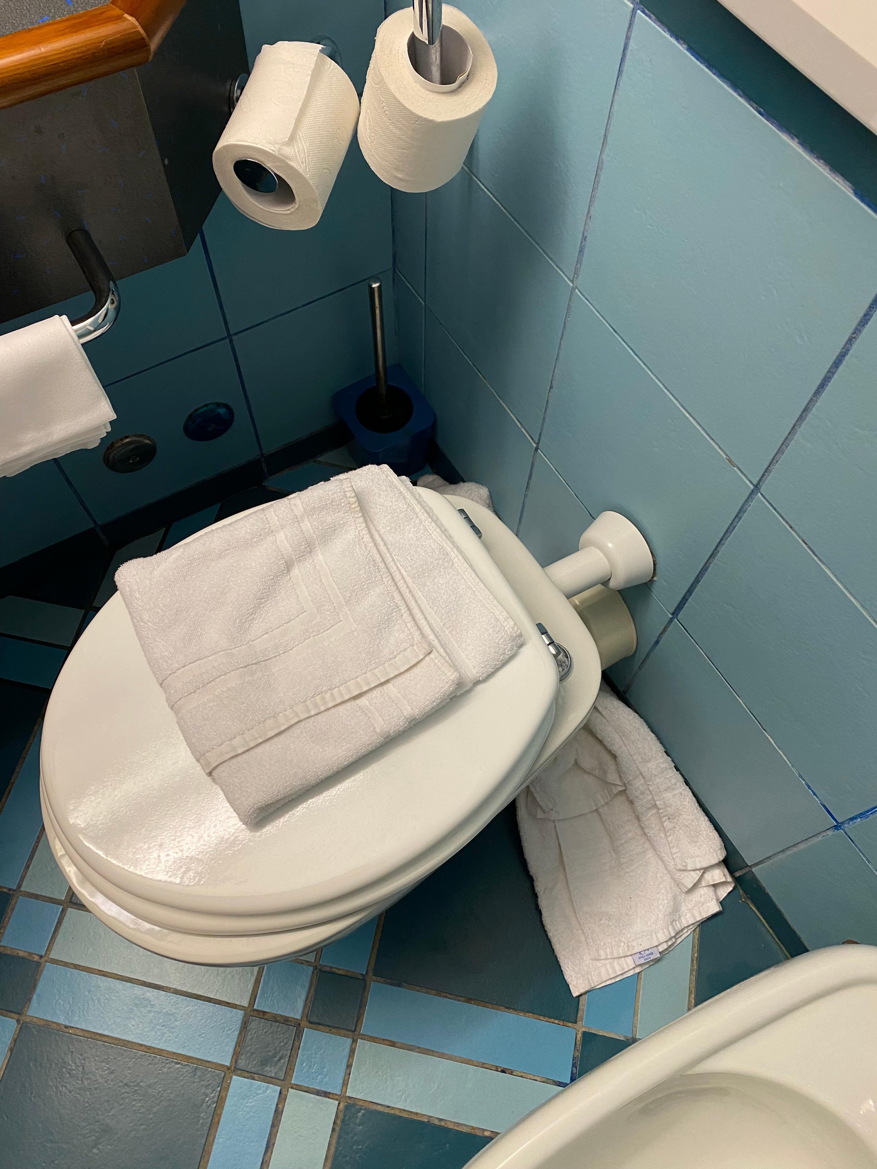 WC rotto e lo Staff ha tamponato la perdita con asciugamani