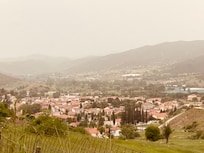 The view