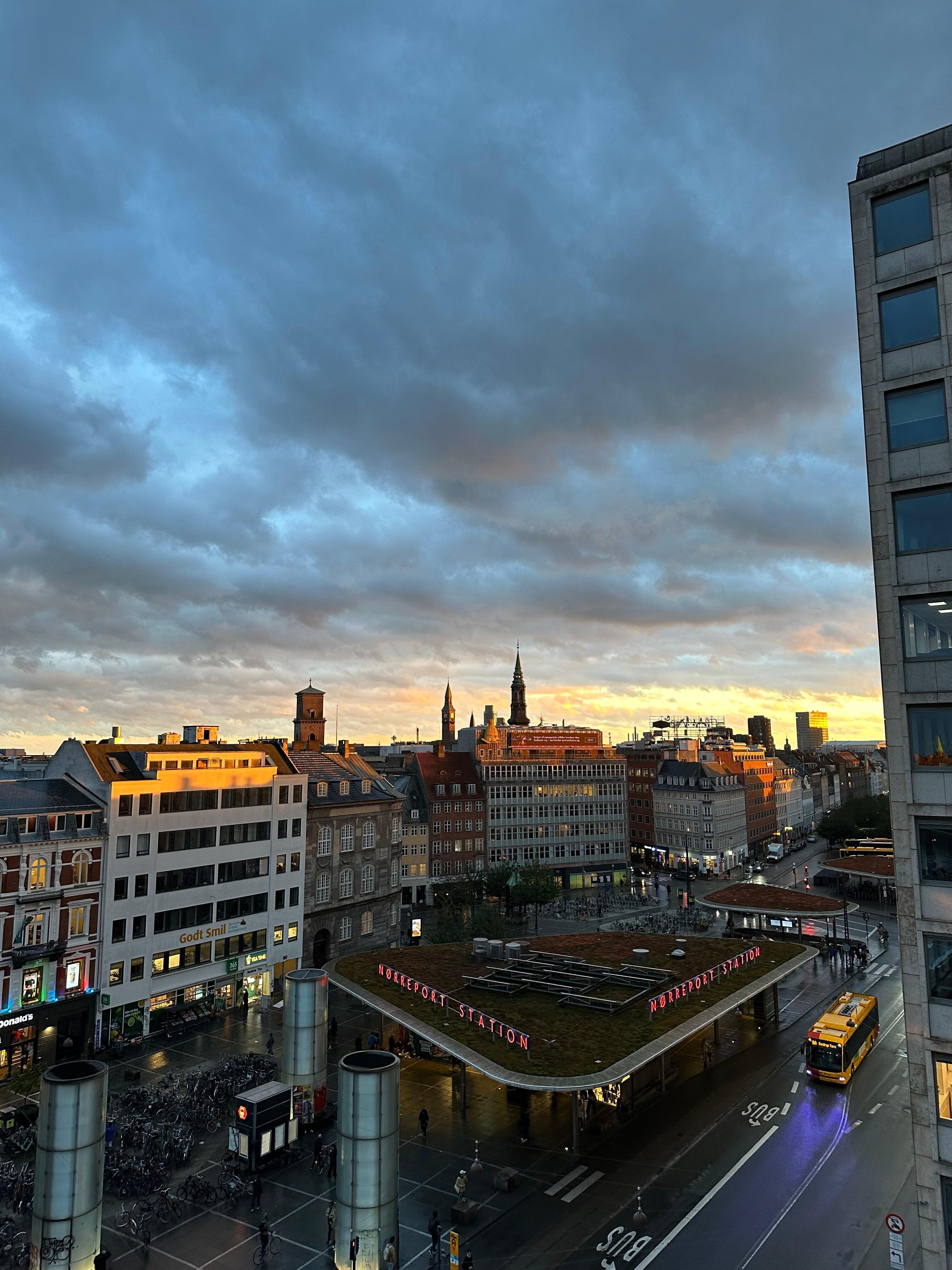 Vista desde la habitación