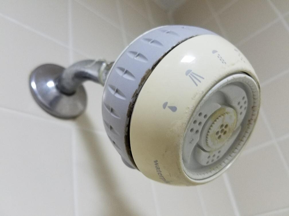 toliet