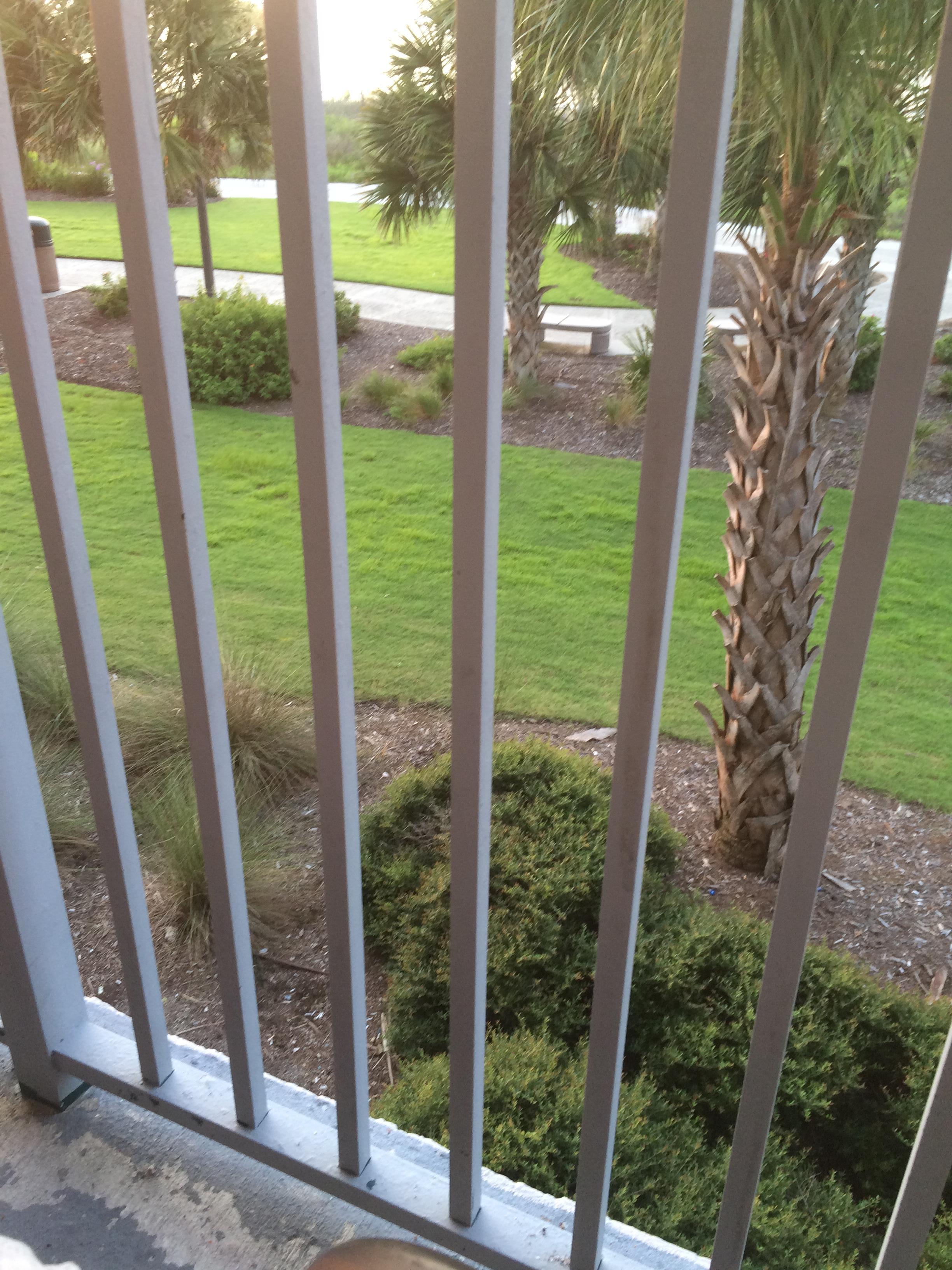 Balcony view 