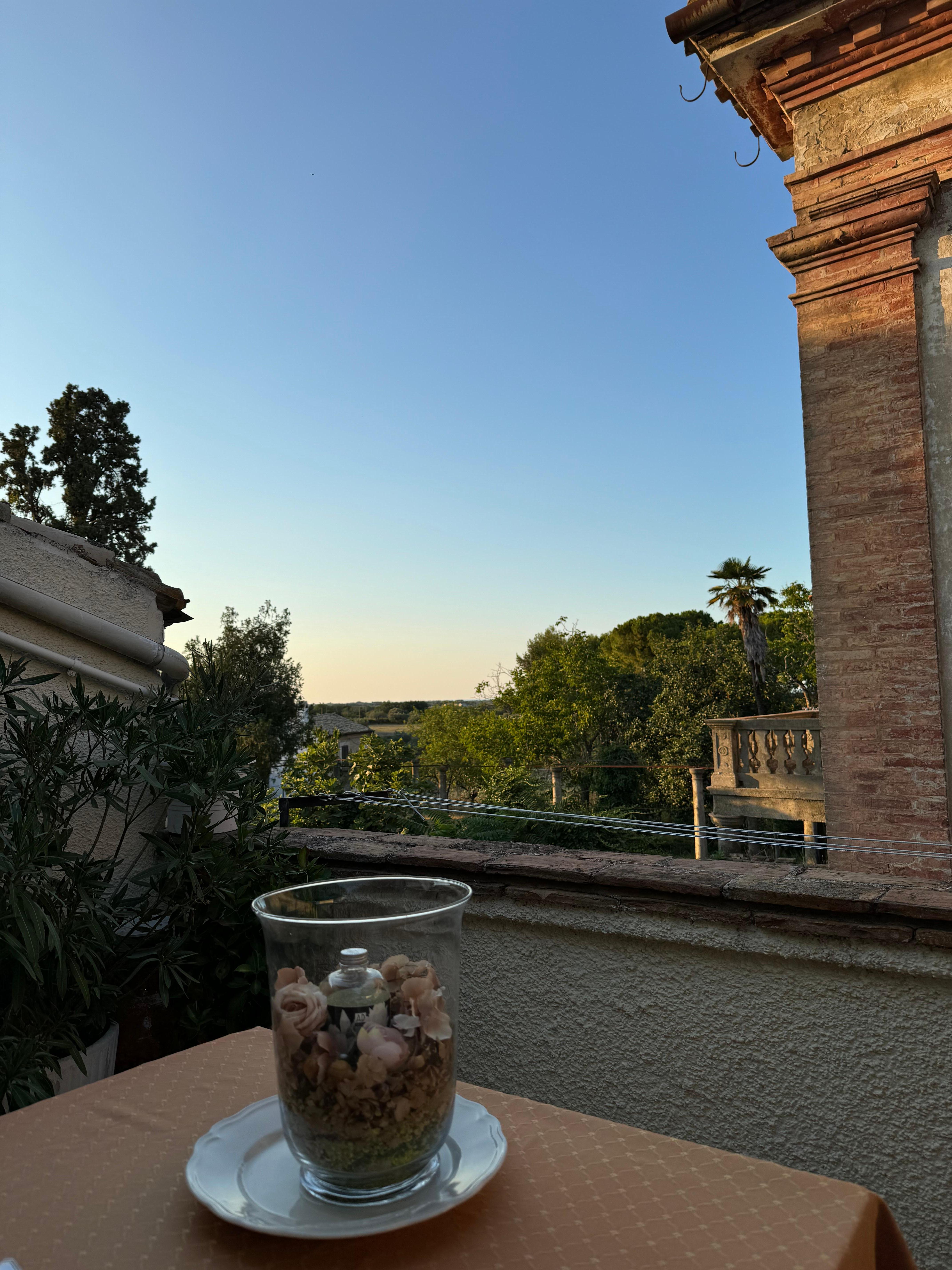 view from breakfast terrace 