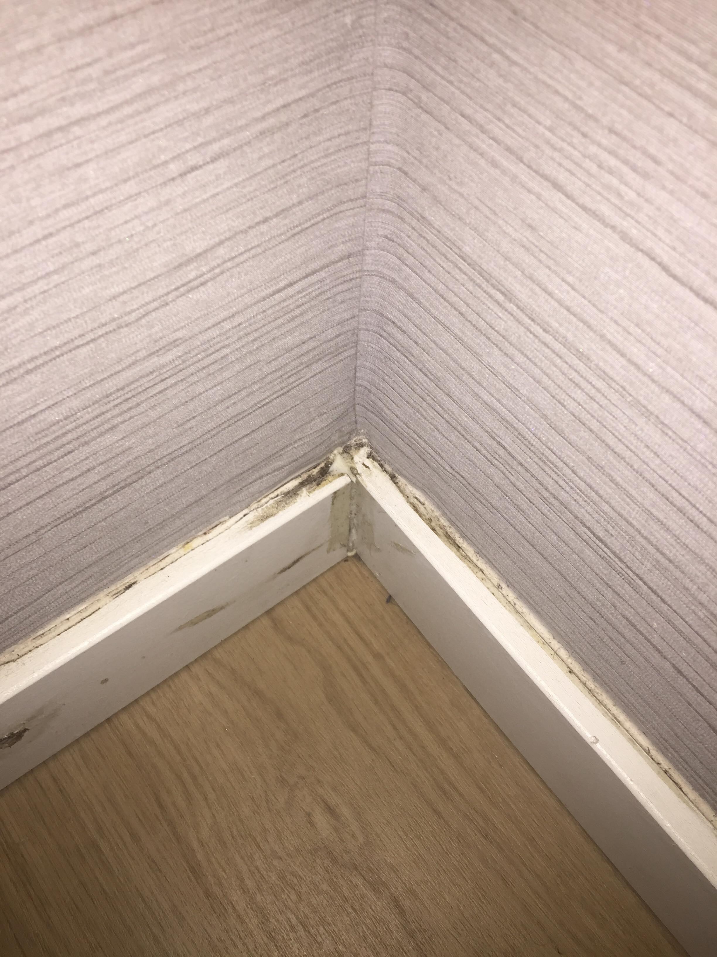 black mold or very dirty corner, behind curtains.