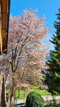 La primavera è in arrivo