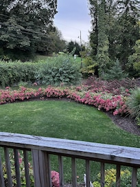 Porch view