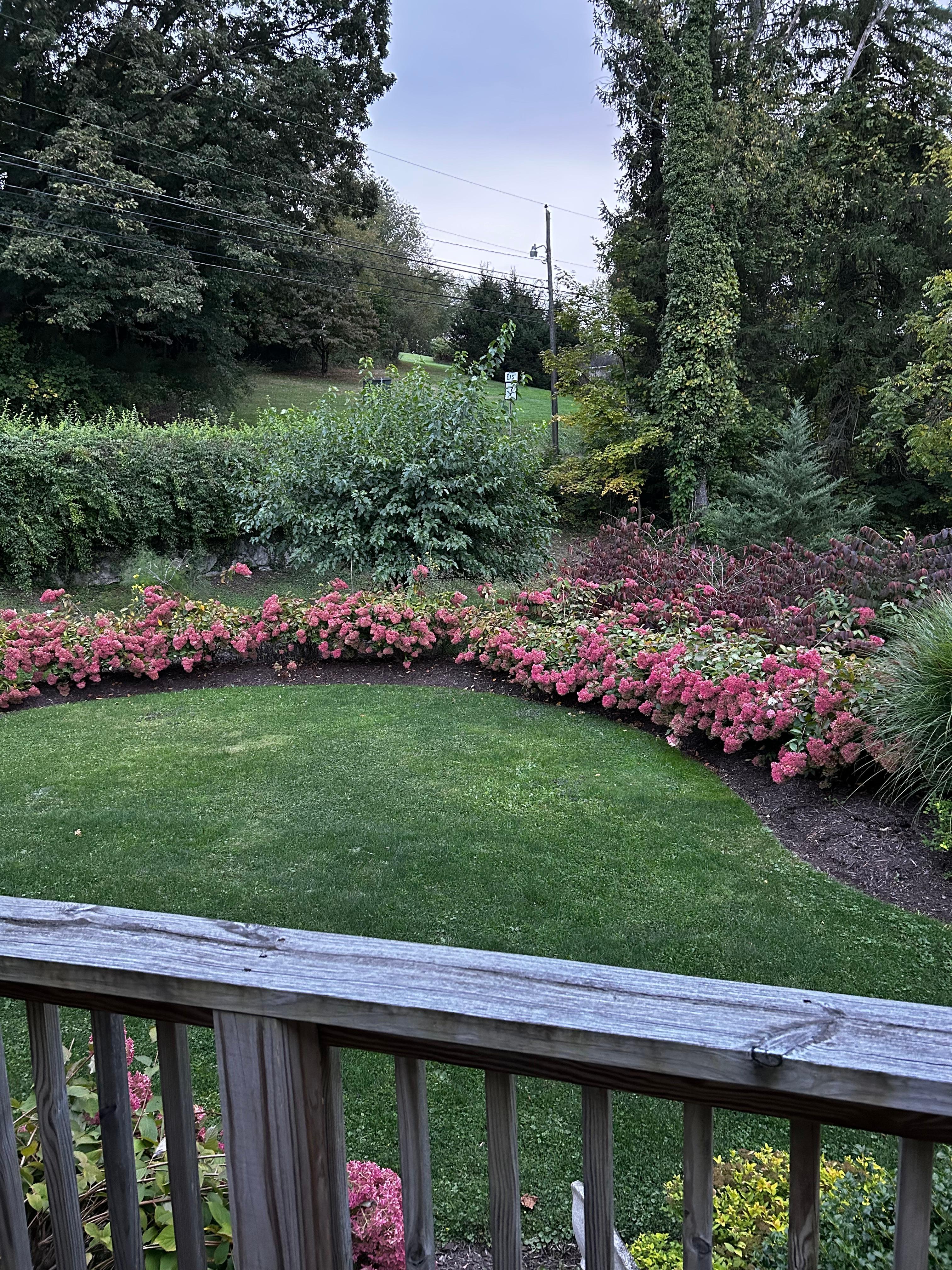 Porch view 