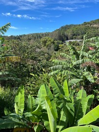 This is the view from the window of a villa room