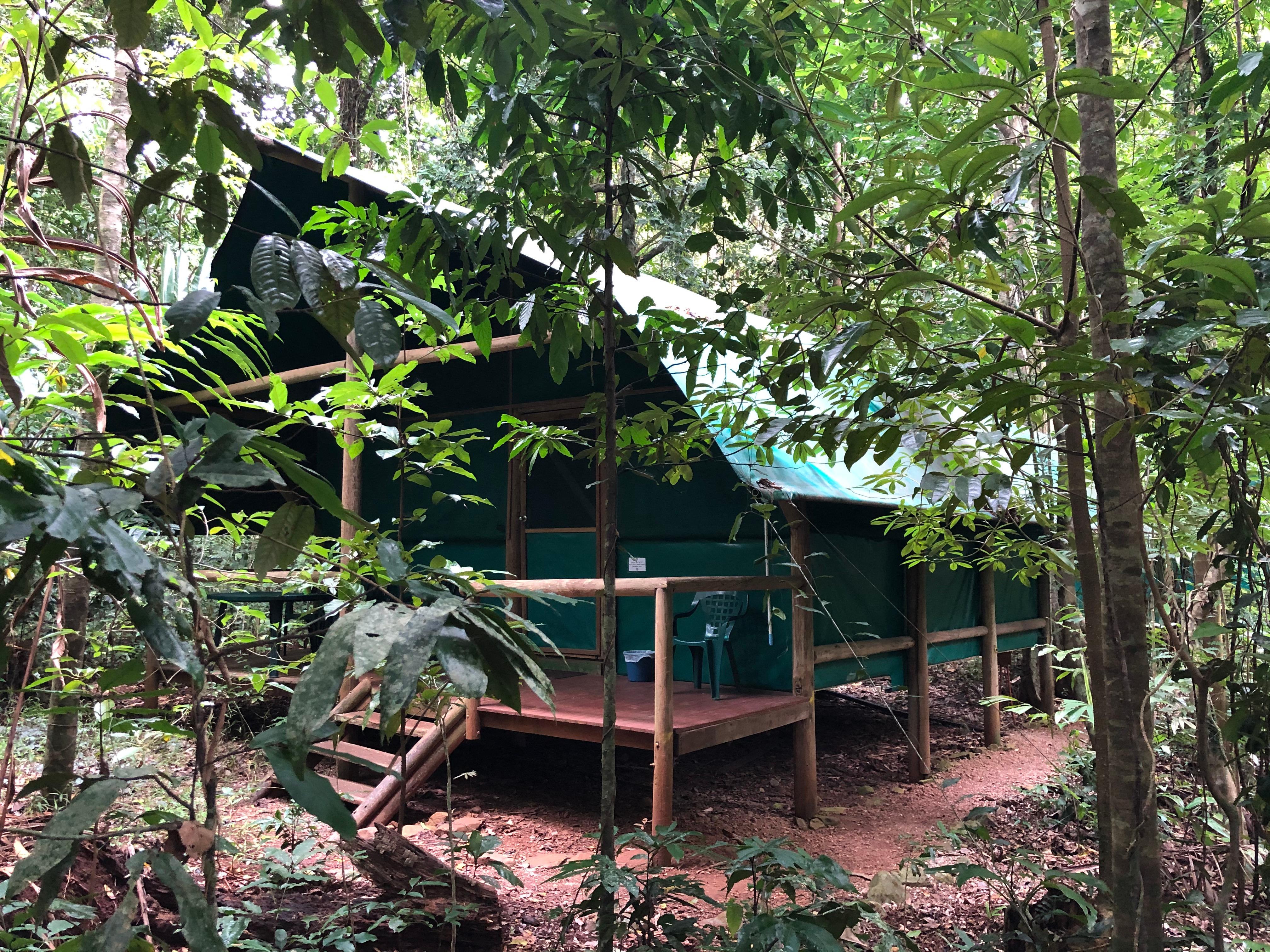 Our hut from the rainforest