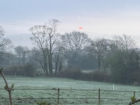 Misty morning birw