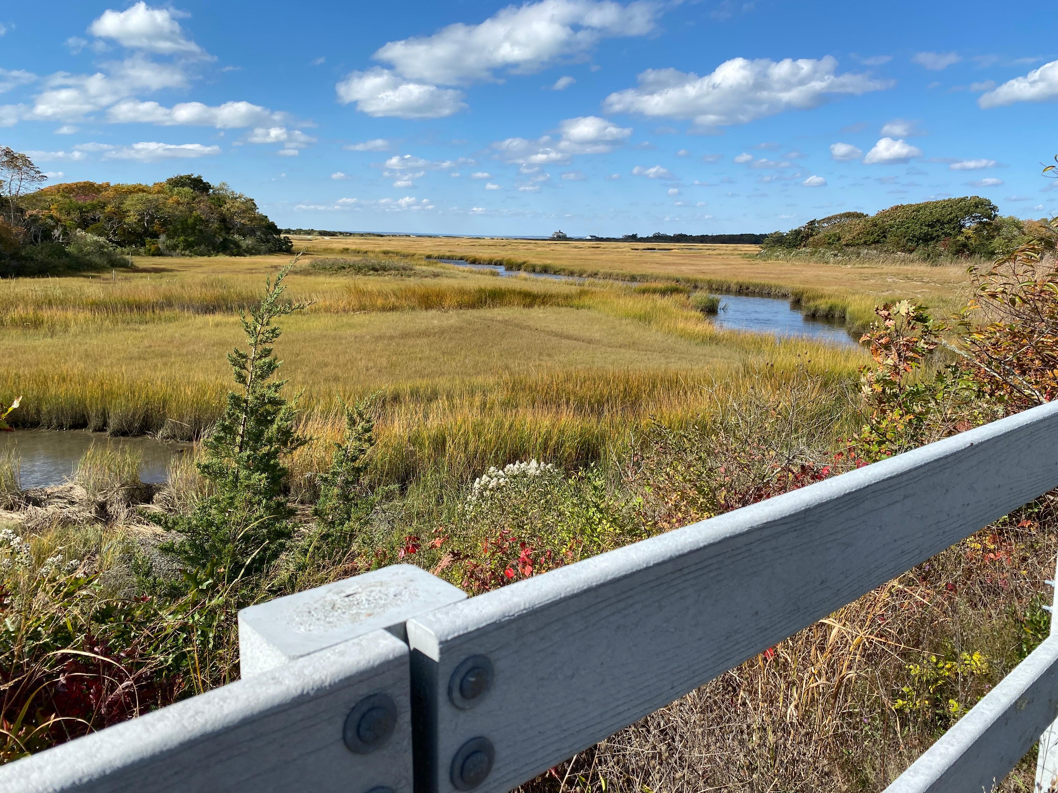 From the bike trail