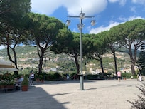 On the piazza