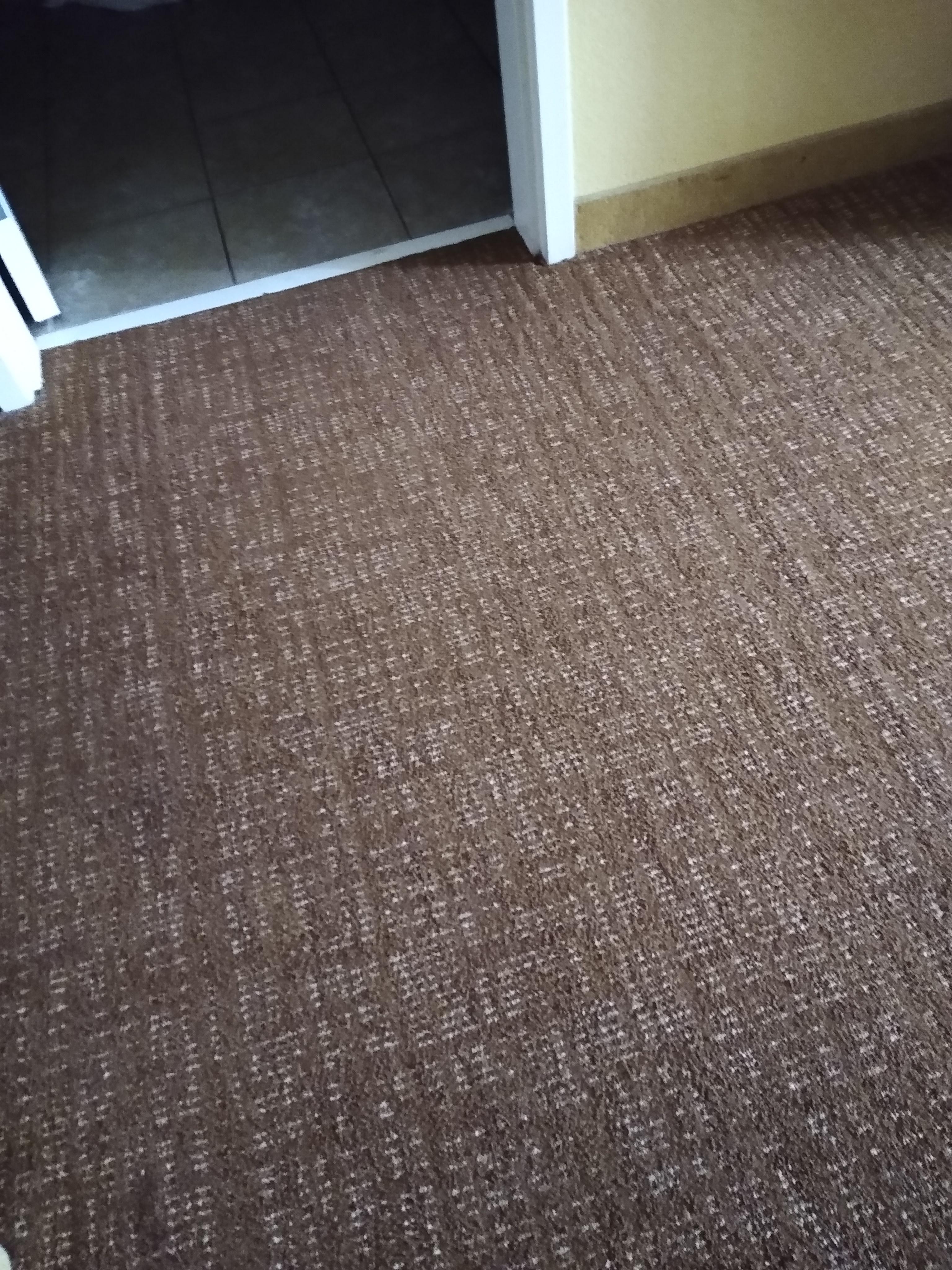 There was an odor in the carpet, maybe get tile that look like hardwood.