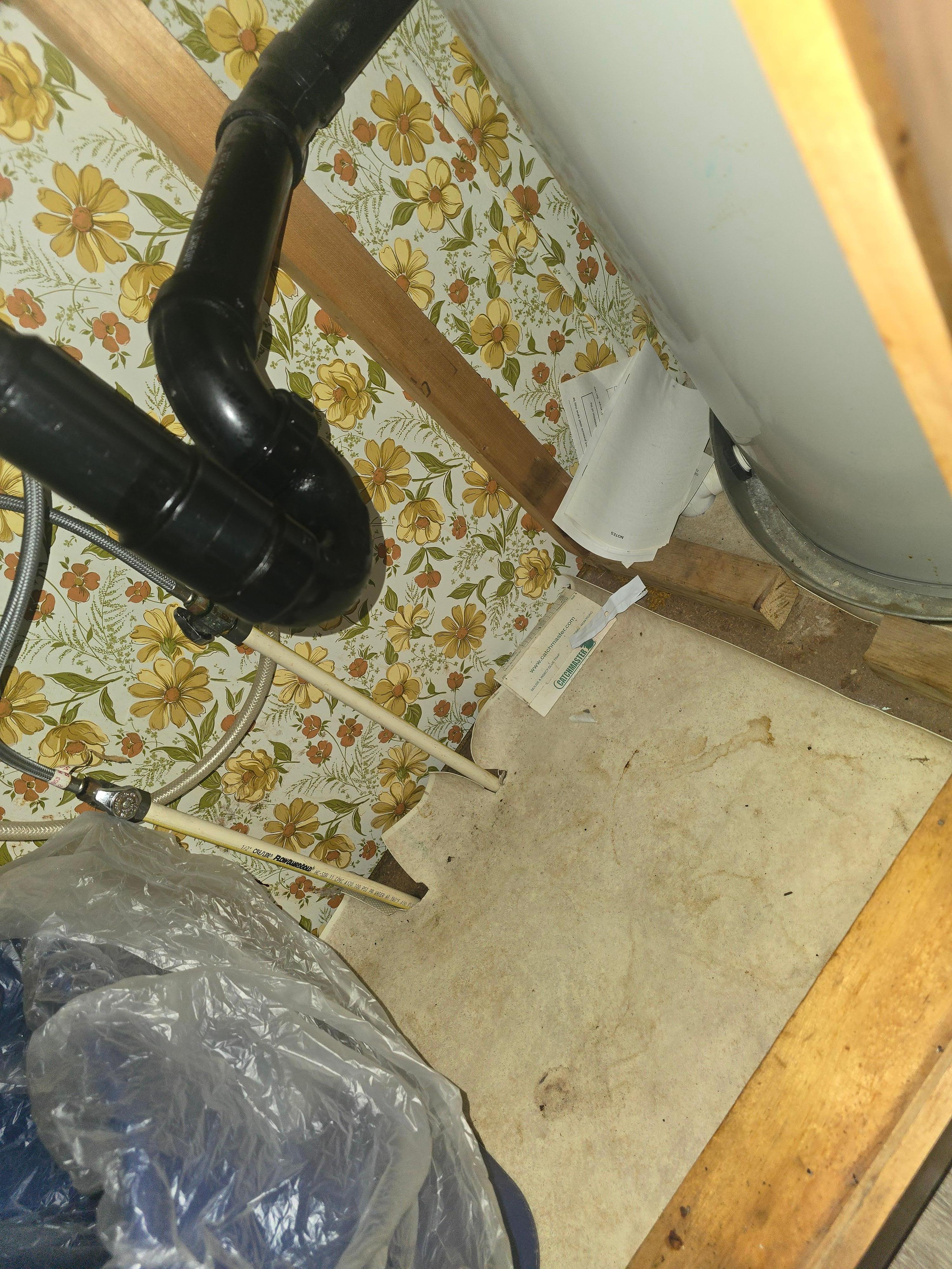 Mouse traps under the sink