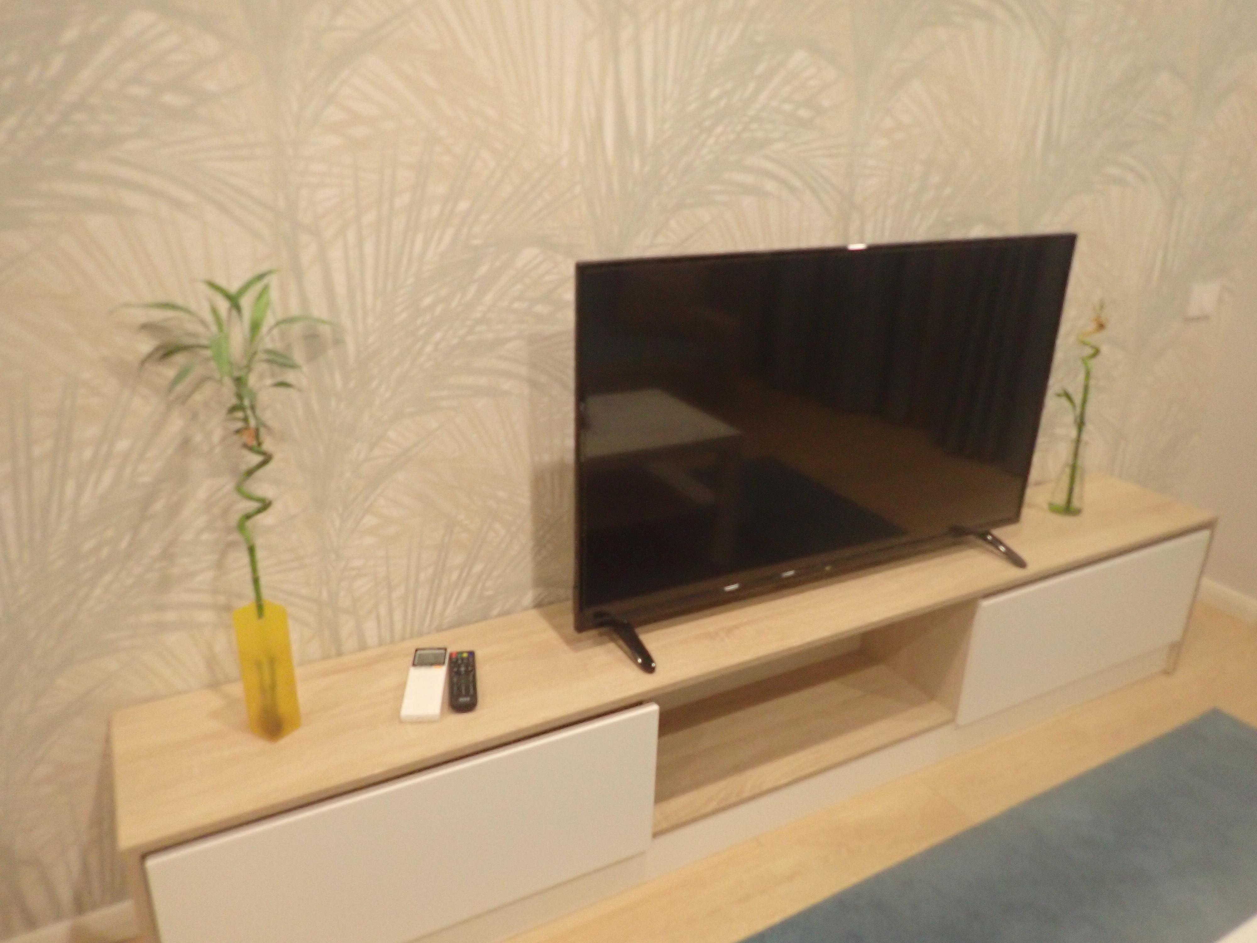 Tv med kule planter på siden