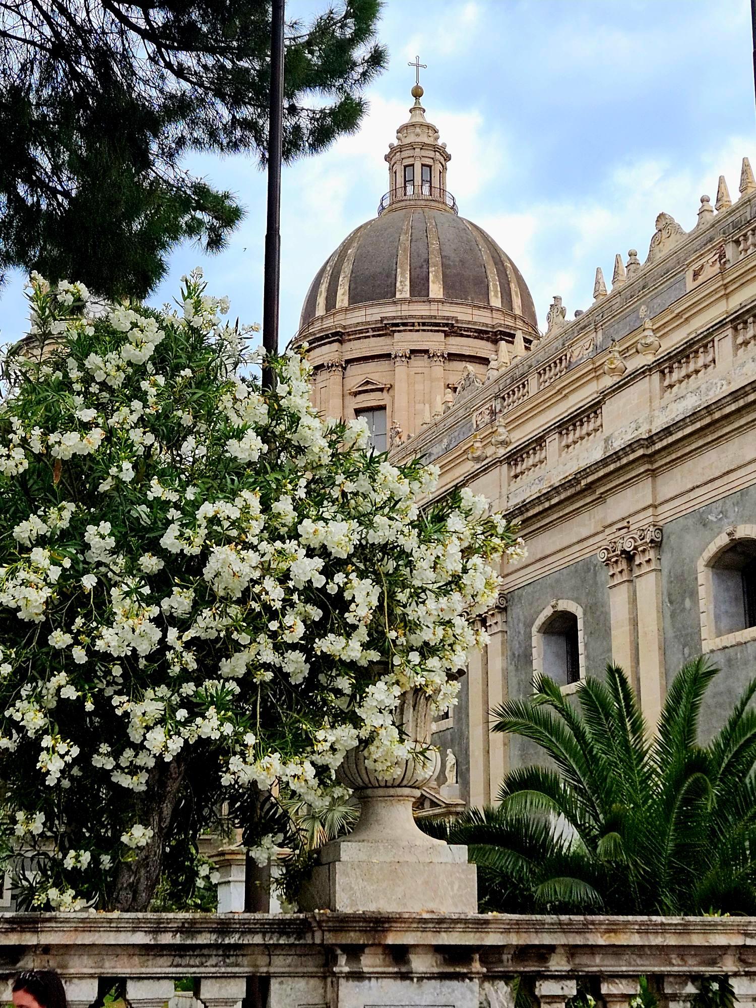 Gardens at the Duomo in city center