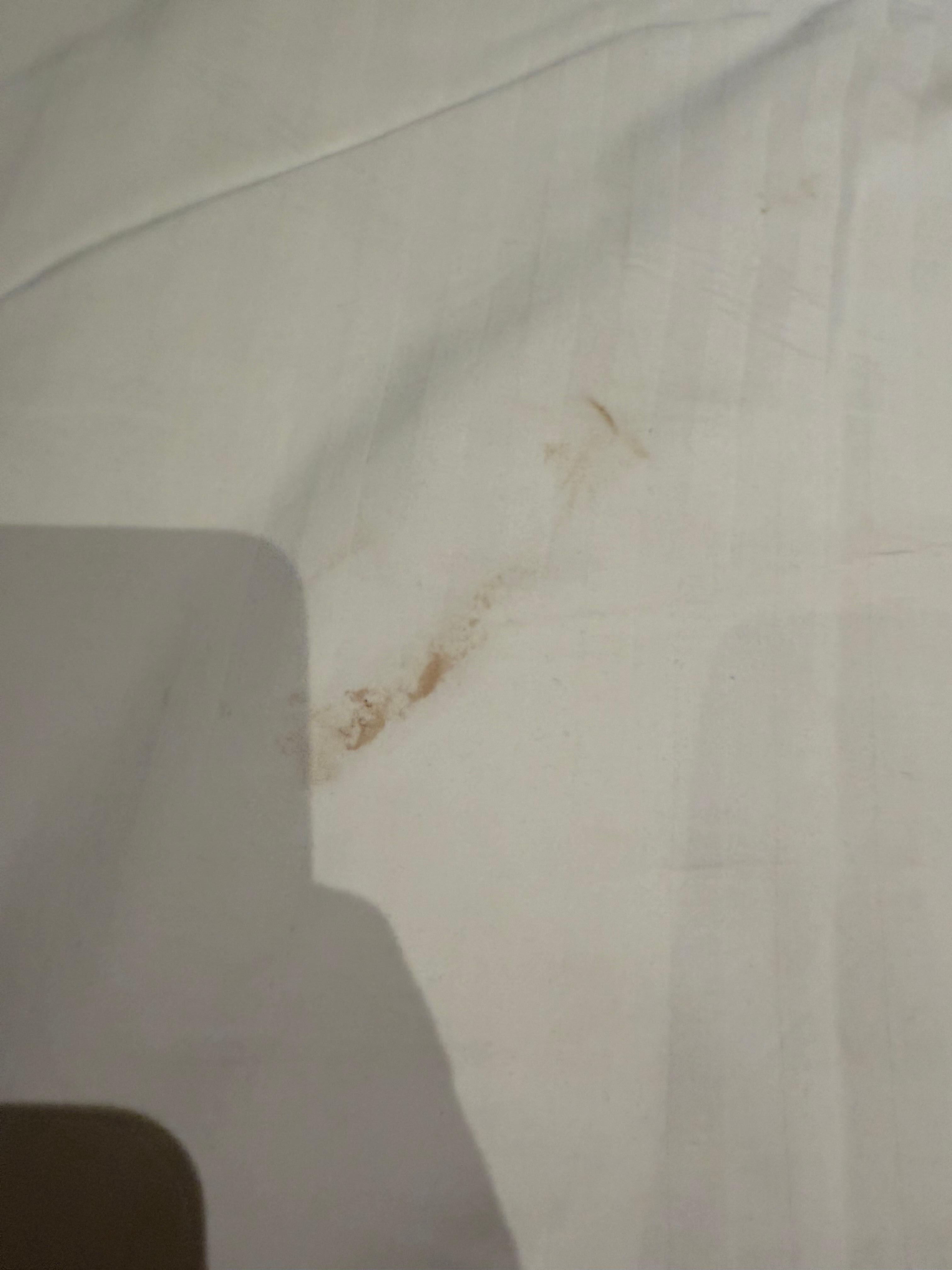 Bed stains 