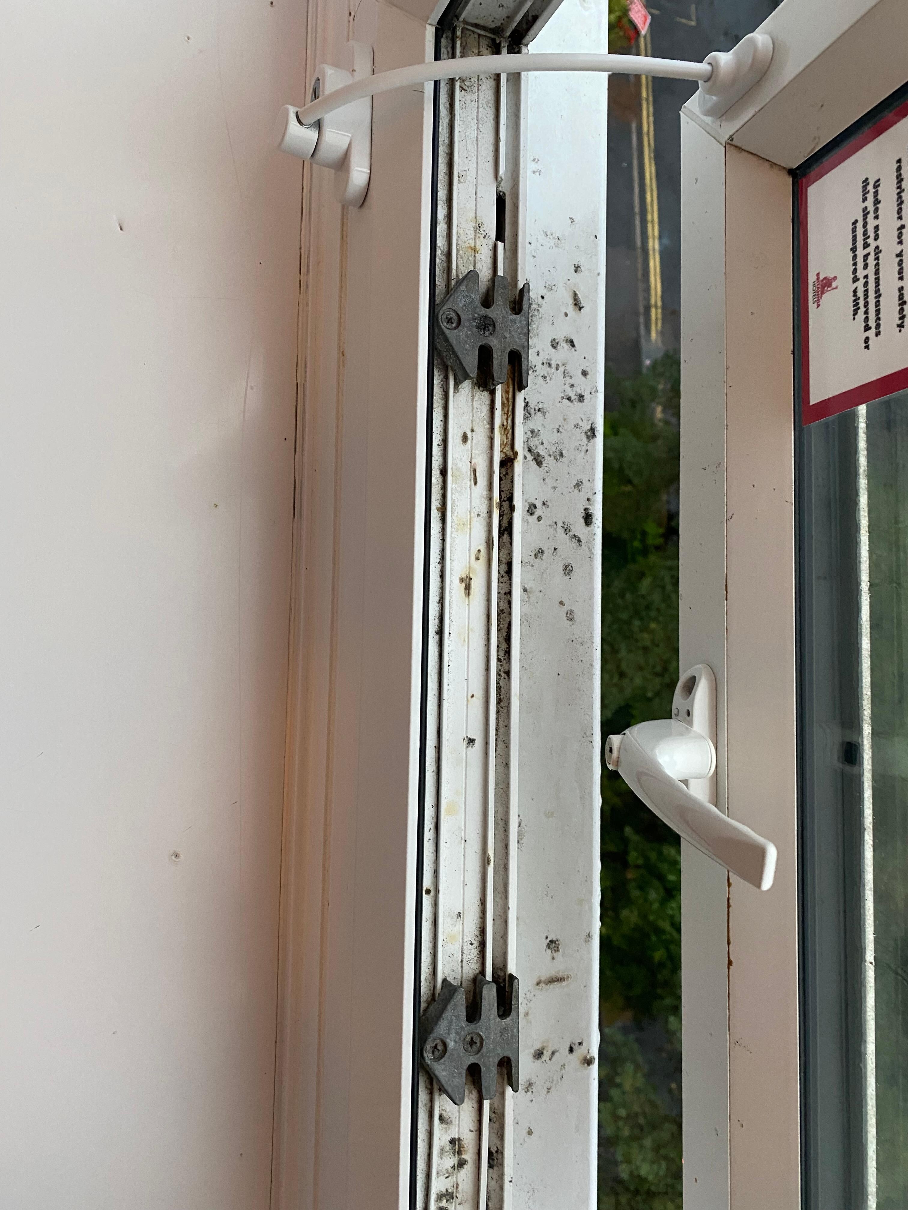 Fag stained window frame