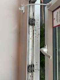 Fag stained window frame