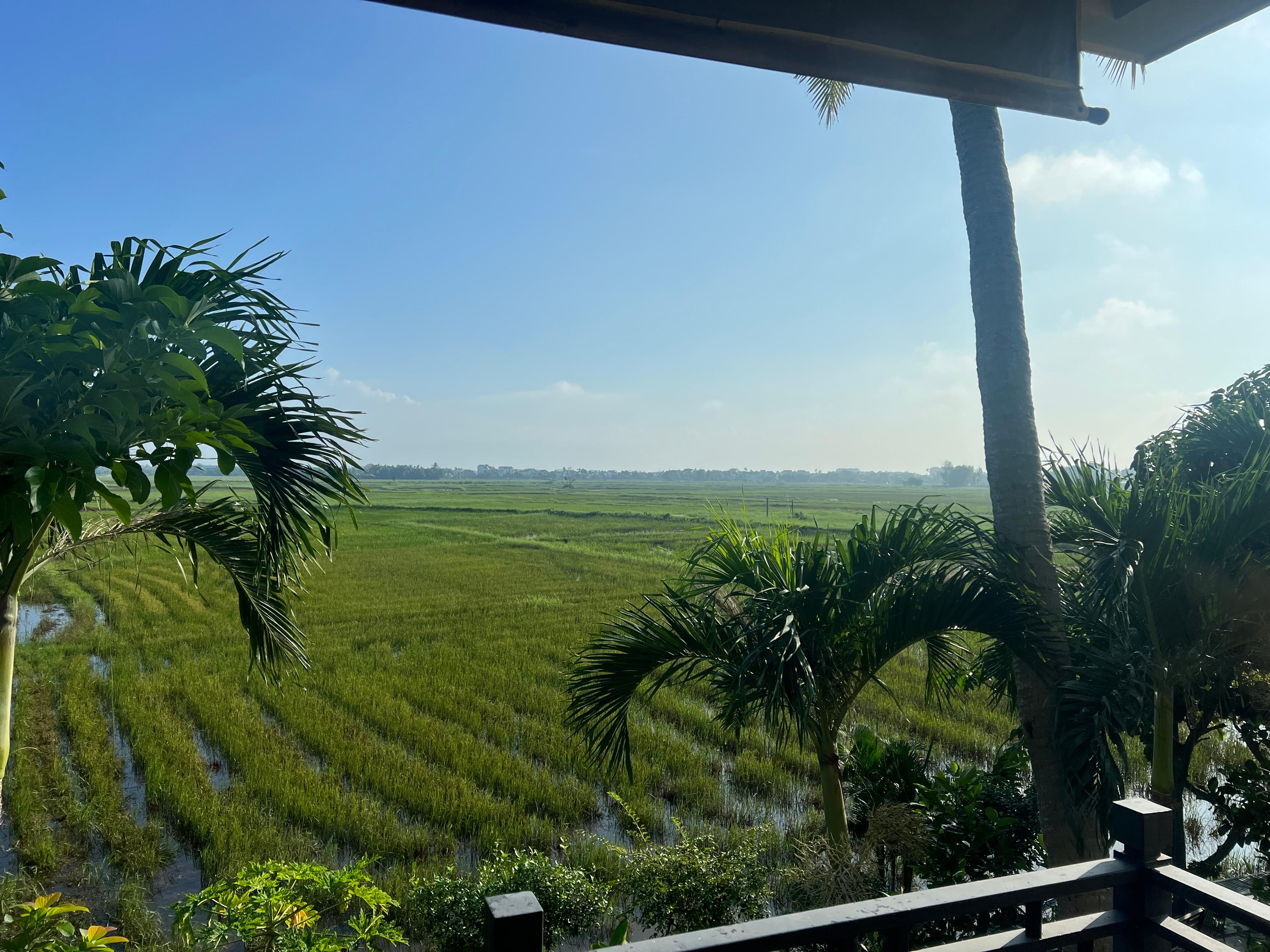 View from balcony 