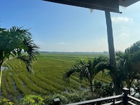 View from balcony