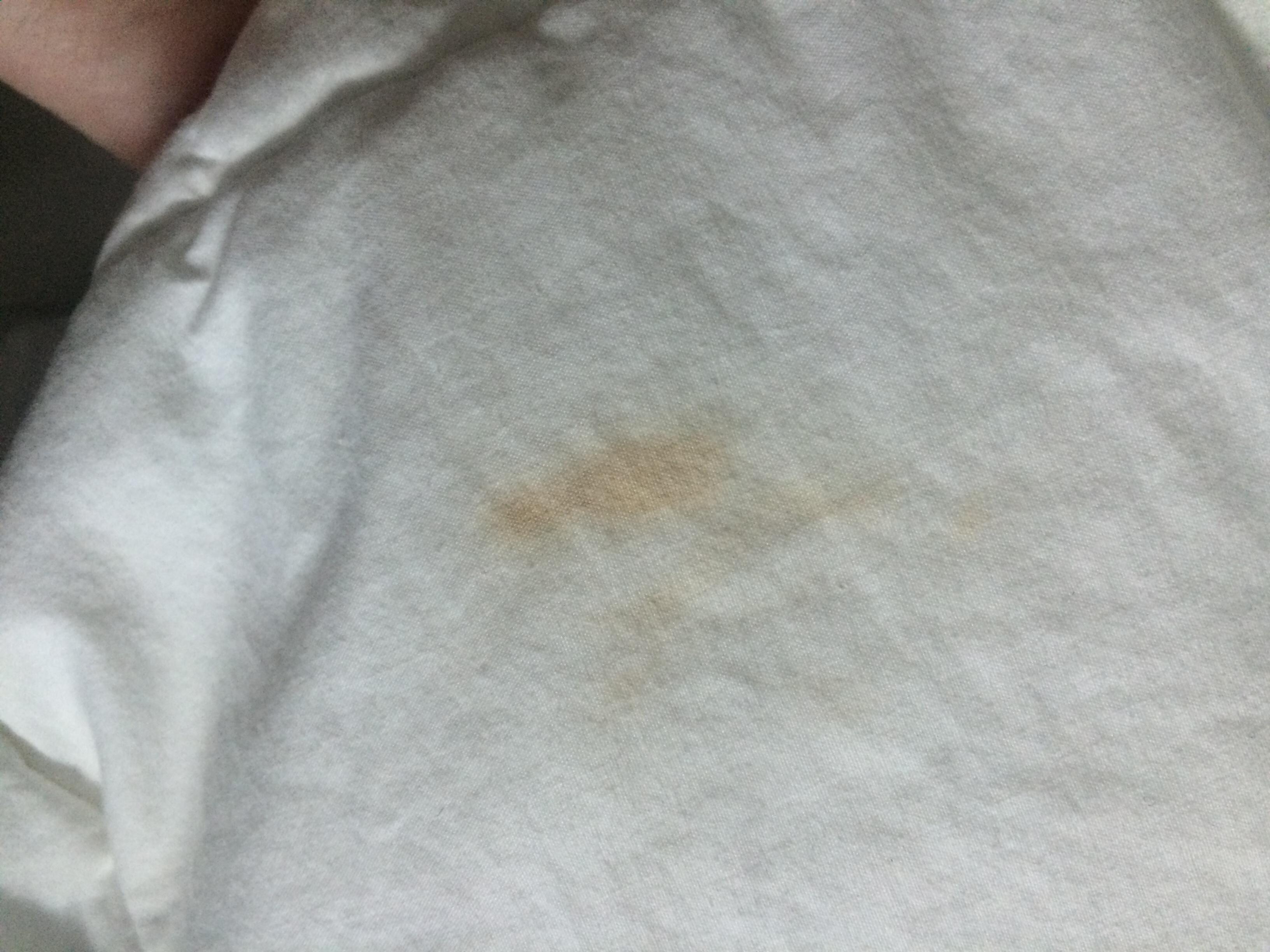 Mystery stain on the comforter