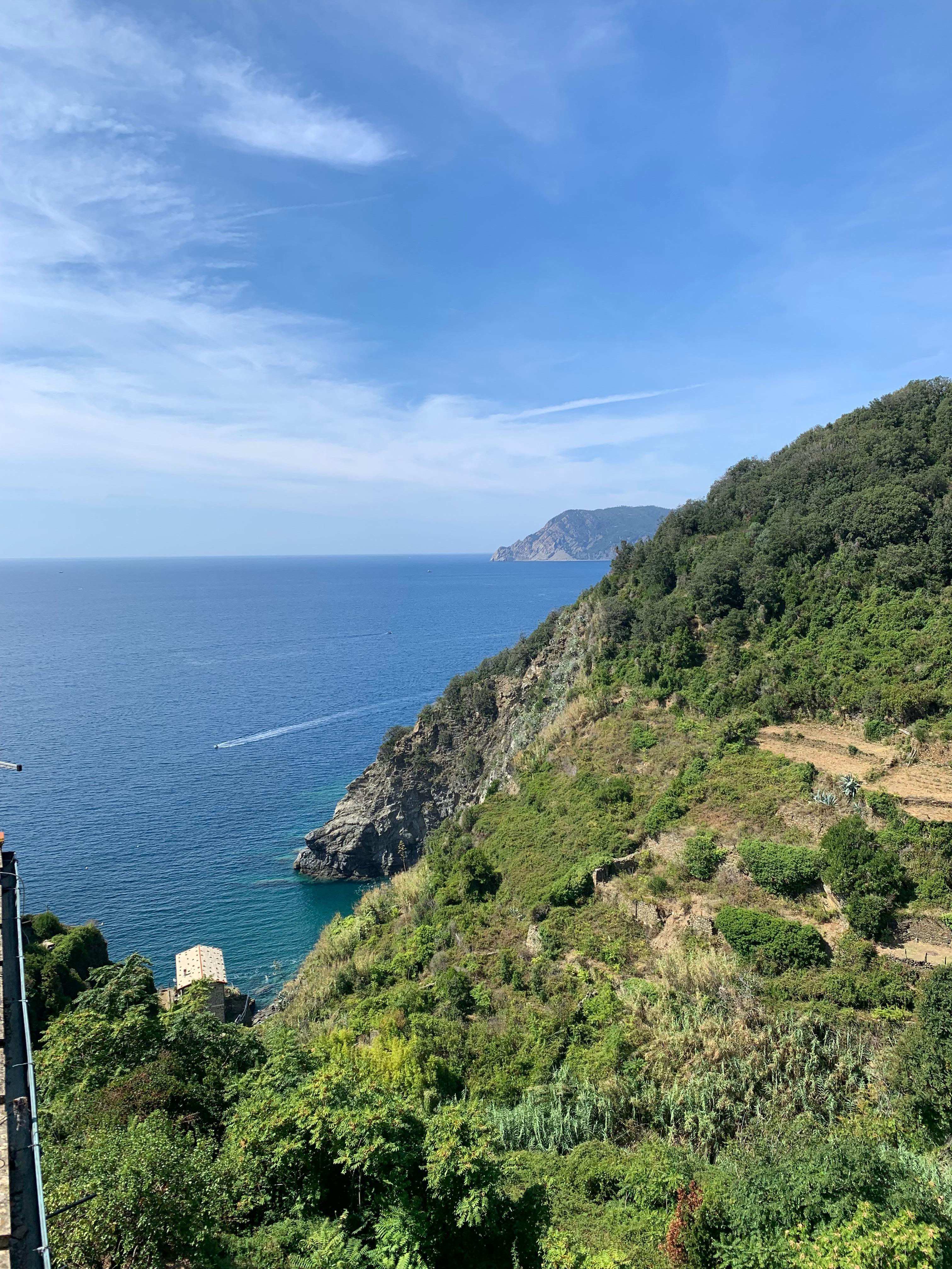 Vue depuis la terrasse 