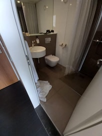 towels from previous visitor still on floor when entering room
