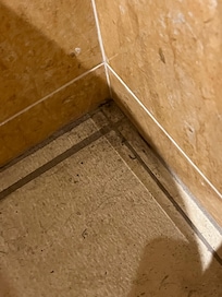 Lower bath