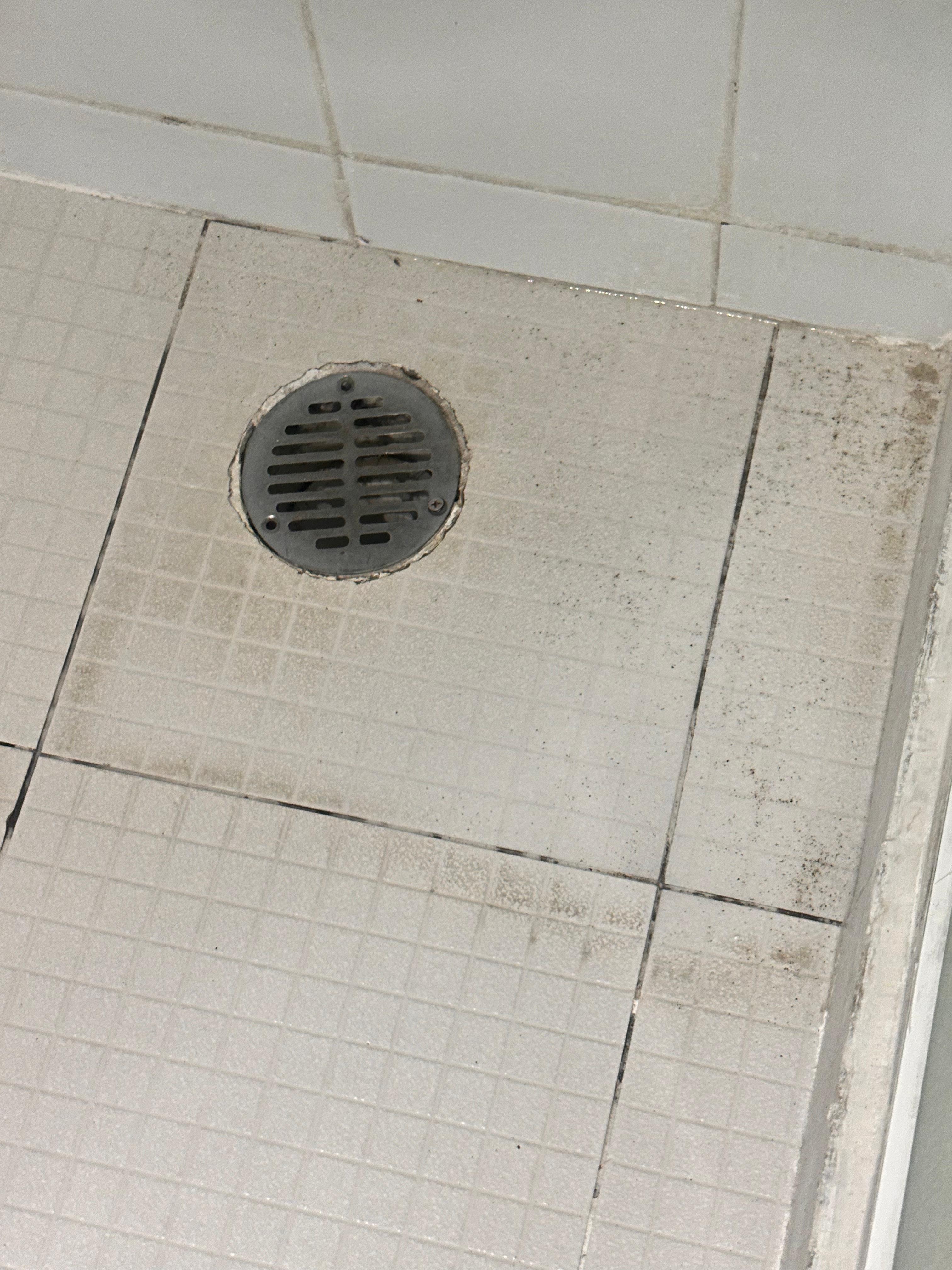 Pisos asquerosos