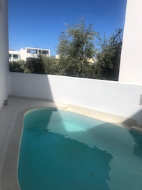 Private pool in the suite