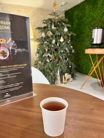 шиповник посла посещение СПА-Карелика