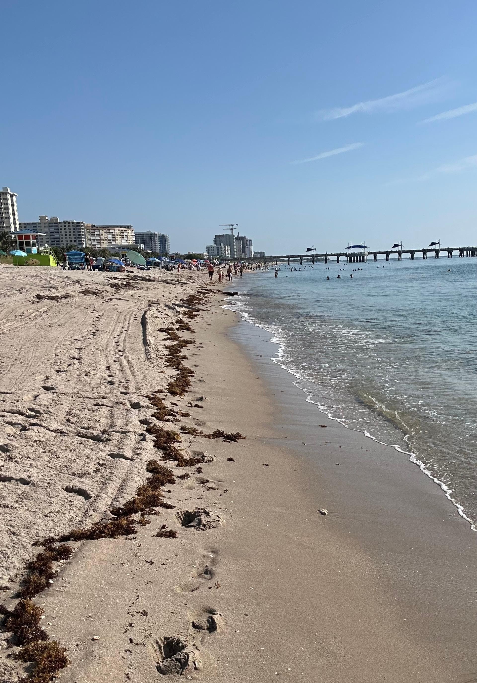 Excellent resort and good location to enjoy the beach. Reasonable parking rate: $18/day