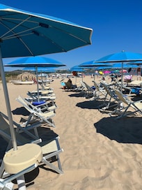 Beach equipped with umbrellas and chairs assigned to each guest by a number.