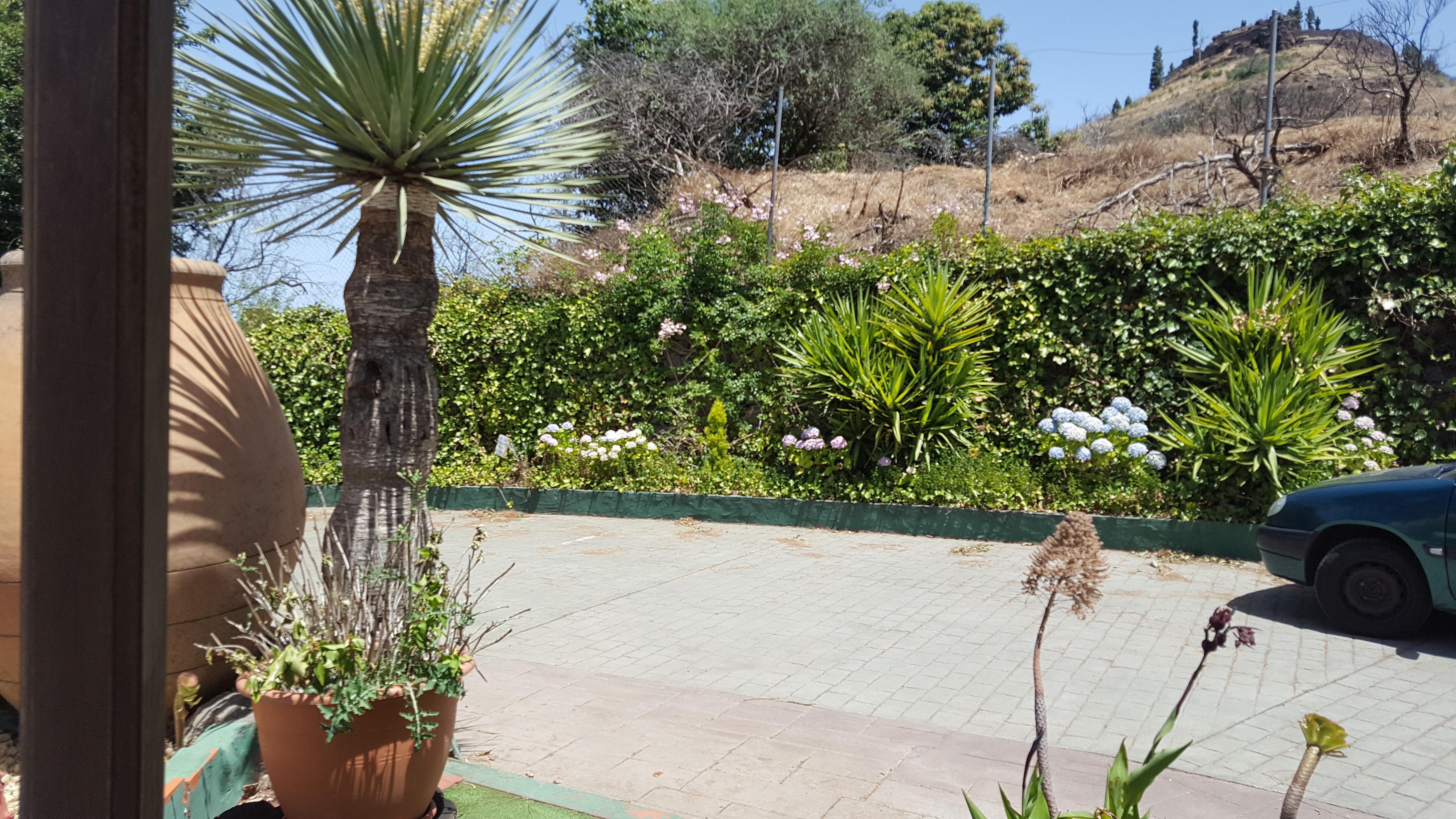 Los jardi es estan muy bien cuidados y limpios