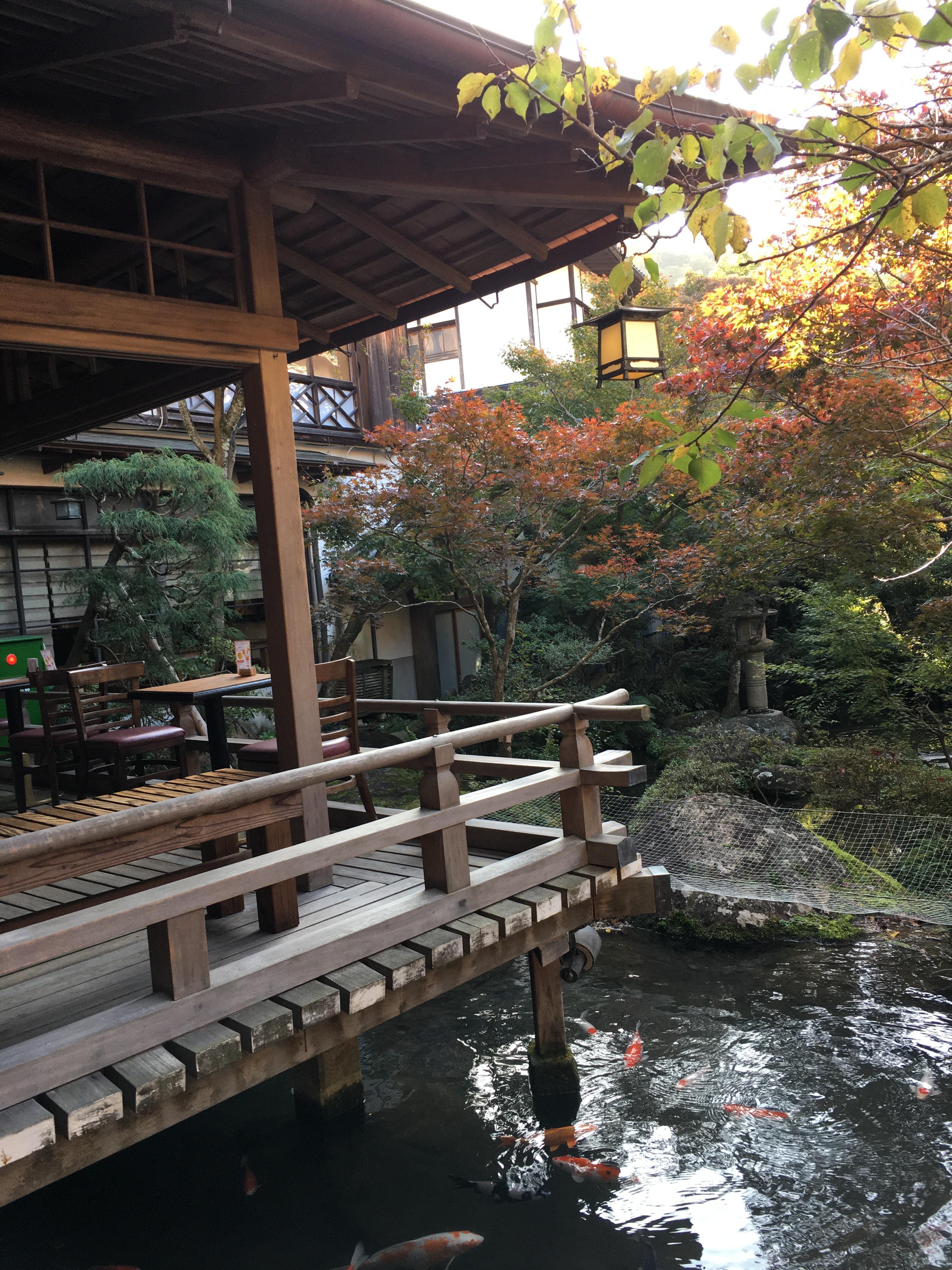 One of the peaceful gardens inside where one can enjoy coffee and tea