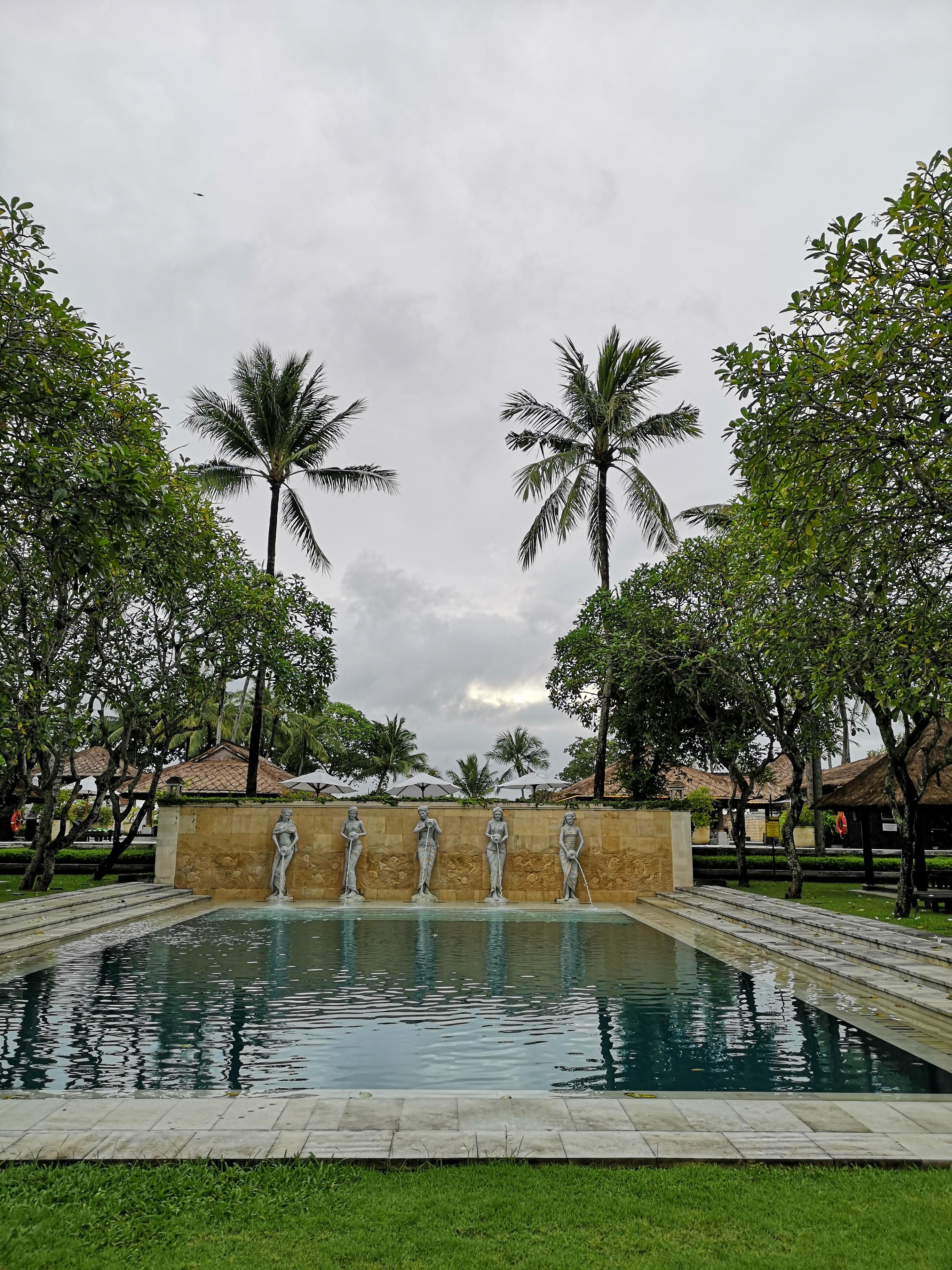 Pool und Garten