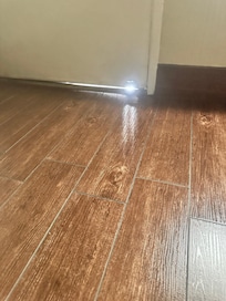 Bugs crawl through door