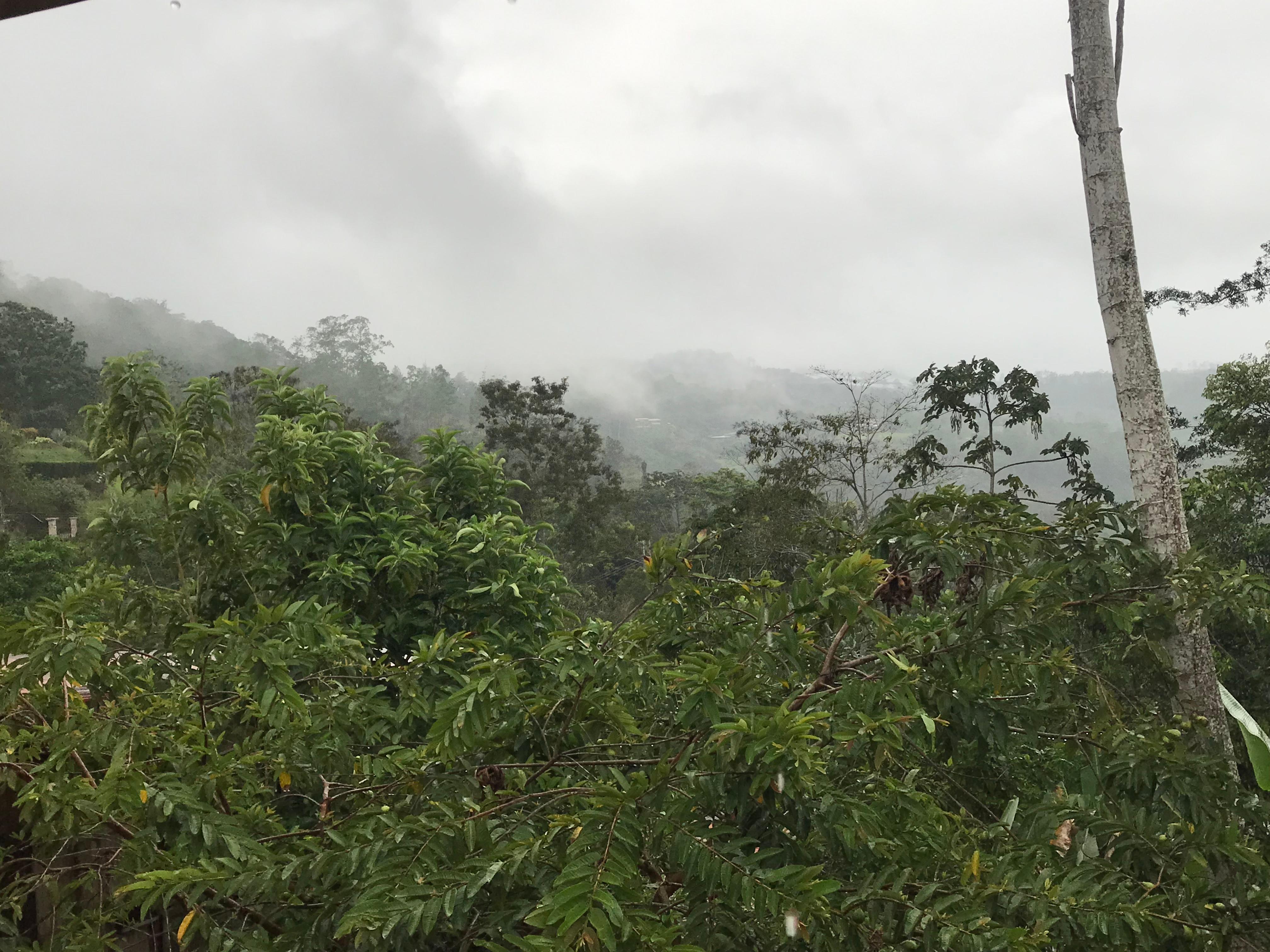 Vista a la montaña 