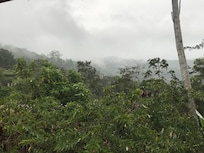 Vista a la montaña