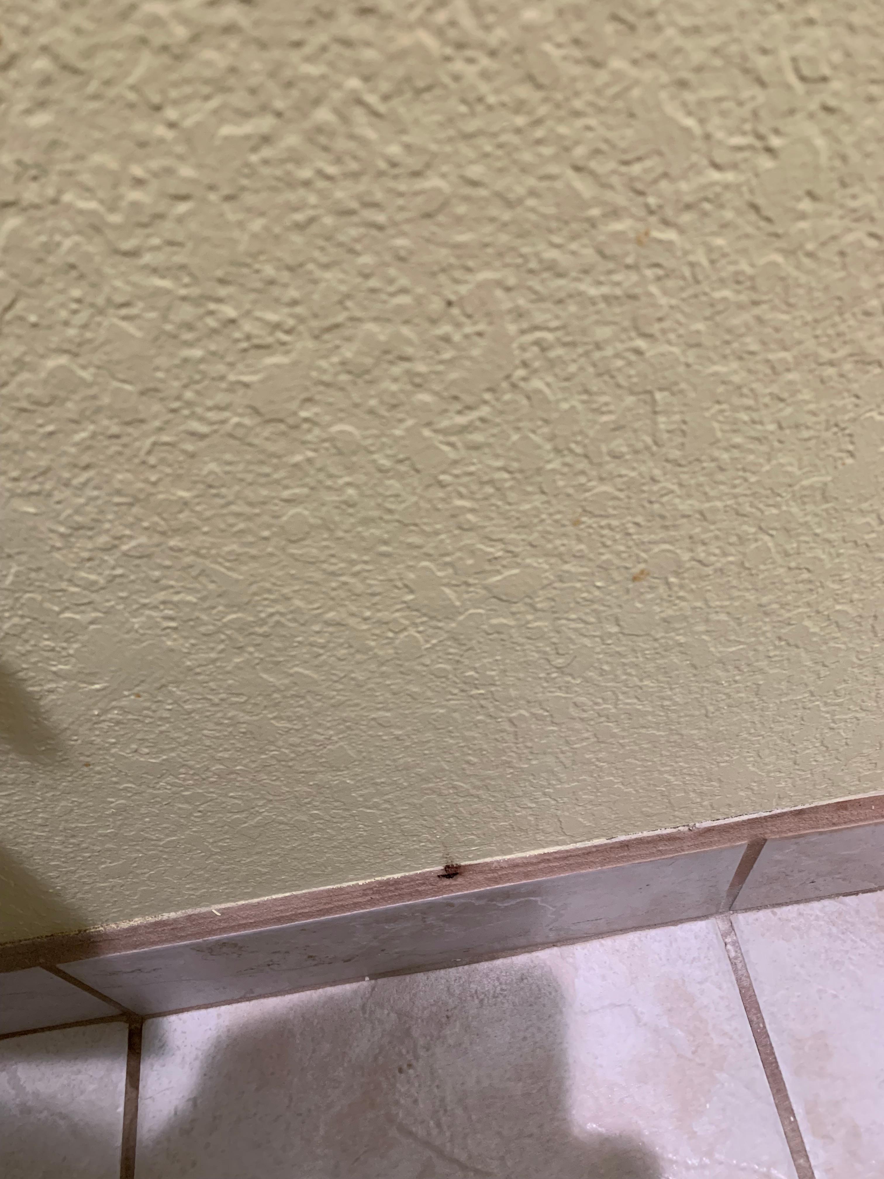 Blood stains?on bathroom wall 