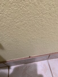 Blood stains?on bathroom wall