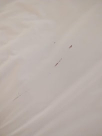 Cormoran Tulum bedbugs blood-stained sheets
