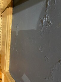 Paint on walls