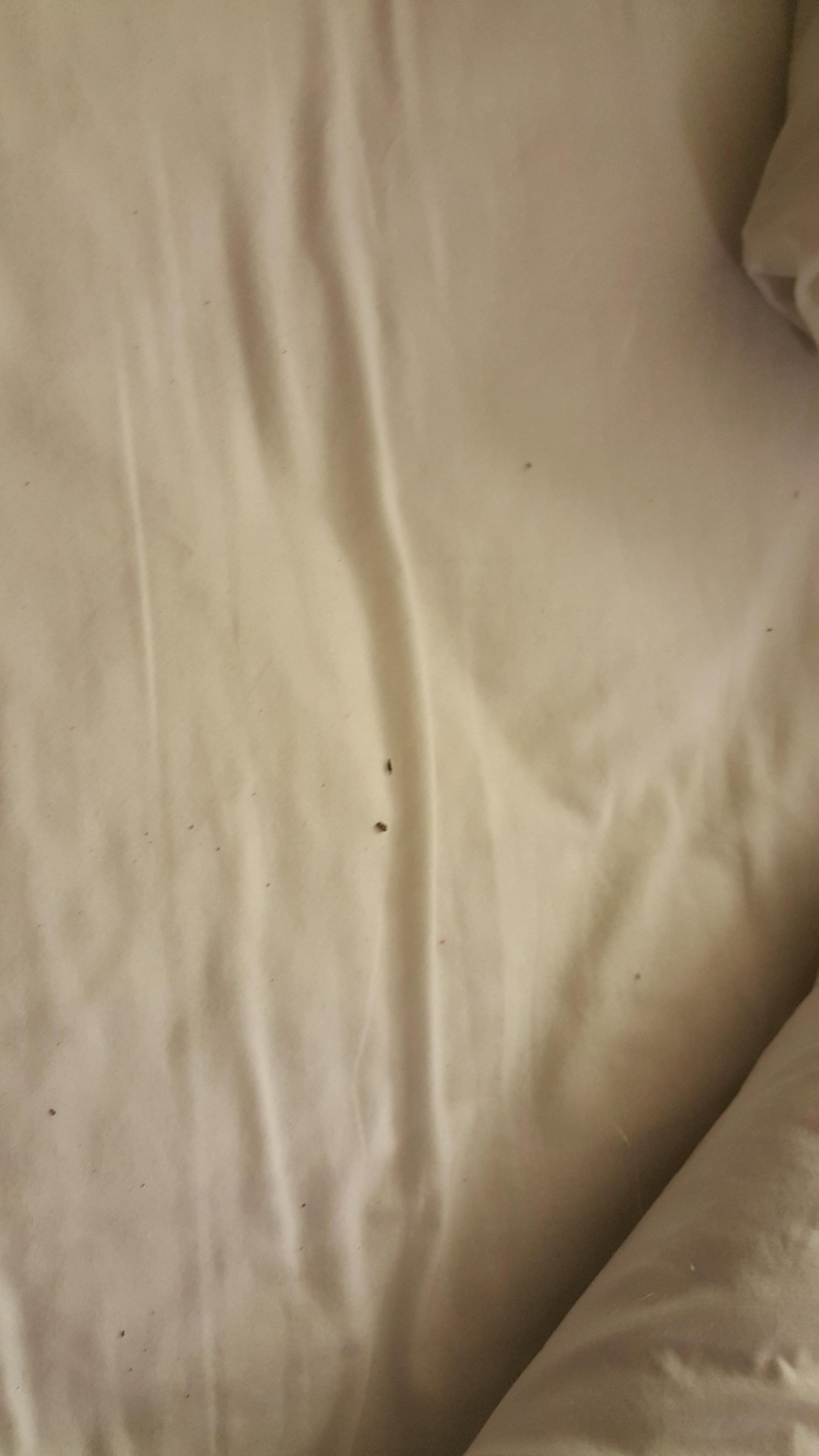 Dirt